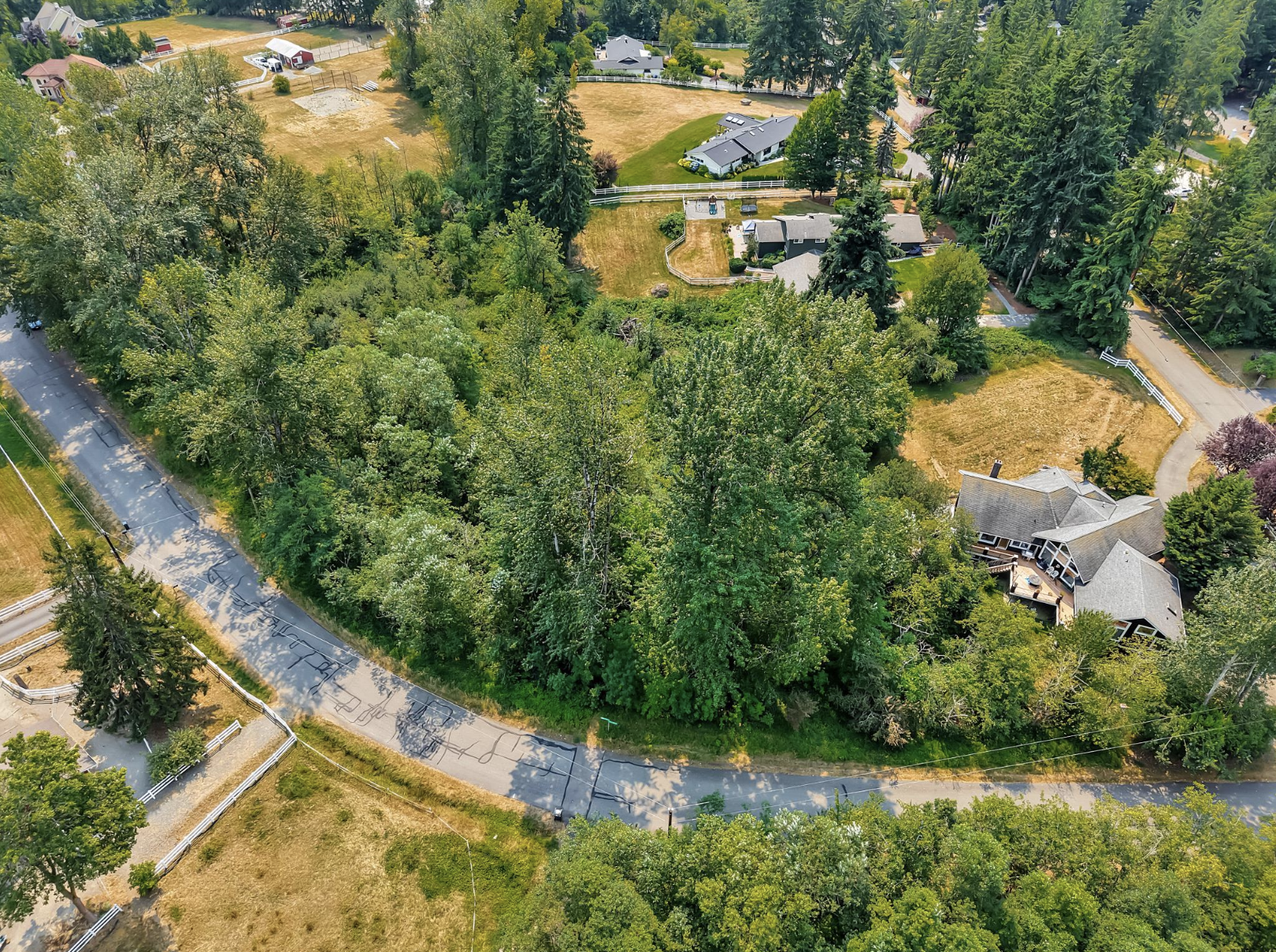 Drone real estate photo of an Issaquah property